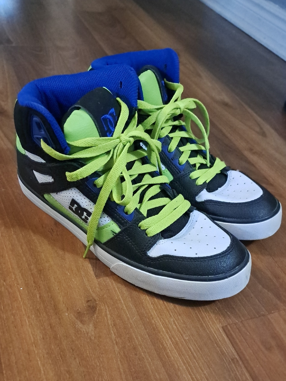 DC Spartan Hi WC skate shoes